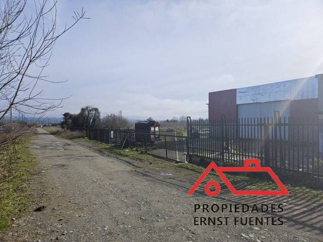 Bodega para Venta en Valdivia - 5